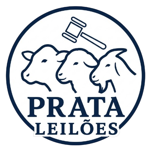Logotipo da empresa PRATA LEILOES E EMPREENDIMENTOS