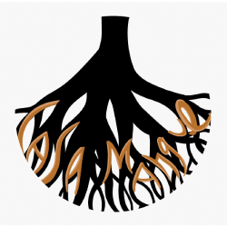 Logotipo da empresa CASA MANGUE