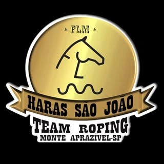 Logotipo da empresa OFICINA SAO JOAO