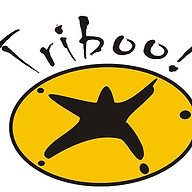 Logotipo da empresa CT TRIBOO