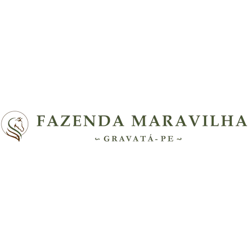 Logotipo da empresa A.V SERVICOS E EMPREENDIMENTOS IMOBILIARIOS SPE LTDA