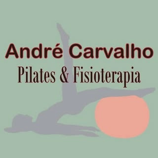 Logotipo da empresa STUDIO CH FISIOTERAPIA E PILATES