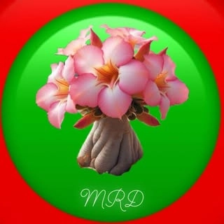 Logotipo da empresa ROSEANE FERNANDES DE ARAUJO