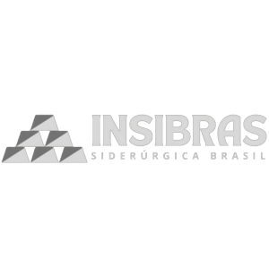 Logotipo da empresa INSIBRAS