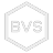 Logotipo da empresa BVS TECNOLOGIA LTDA