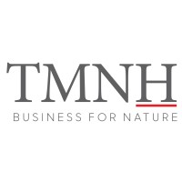 Logotipo da empresa TMNH AGROFLORESTAL