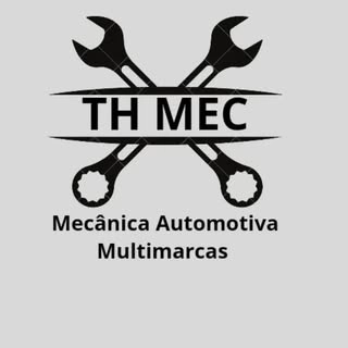 Logotipo da empresa THULIO GERALDO PADILHA RIBEIRO
