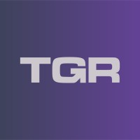 Logotipo da empresa EL TIGRE