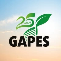 Logotipo da empresa GAPES ICT