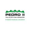 Logotipo da empresa PEDRO II