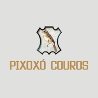 Logotipo da empresa PIXOXO
