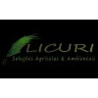 Logotipo da empresa LICURI AGRONEGOCIOS