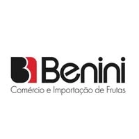 Logotipo da empresa BENINI HOLDING LTDA