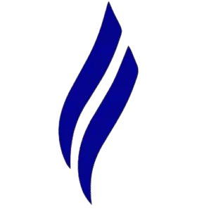 Logotipo da empresa MAIS FACIL SERVICOS