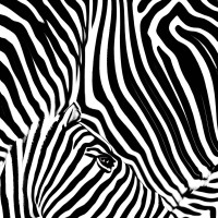Logotipo da empresa ZEBRA AGRICOLA