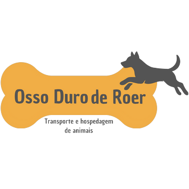 Logotipo da empresa NELSON REIS DE OLIVEIRA