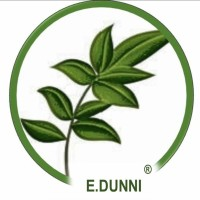 Logotipo da empresa DUNNI LANCHES, PASTEL E ACAI