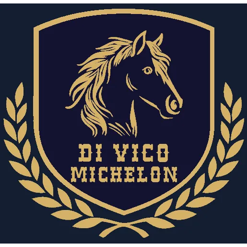 Logotipo da empresa DI VICO COBRANCAS