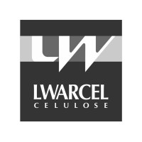 Logotipo da empresa BRACELL MS CELULOSE LTDA