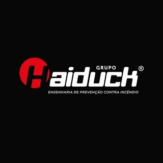 Logotipo da empresa GRUPO HAIDUCK