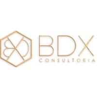 Logotipo da empresa BDX CONSULTORIA