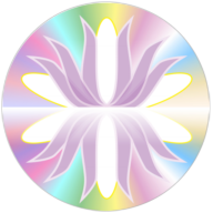 Logotipo da empresa SHAKTI NOVA ERA