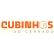 Logotipo da empresa LARISSA CONCEICAO DA SILVA