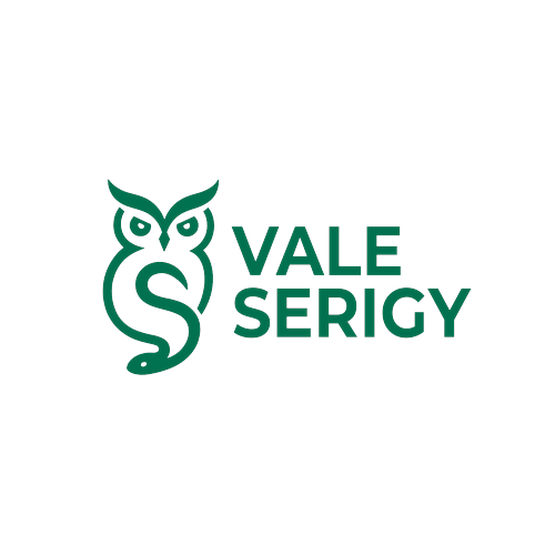 Logotipo da empresa VALE SERIGY