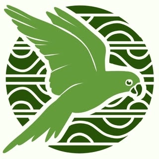 Logotipo da empresa REDE CURICA