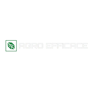 Logotipo da empresa GUILHERME DE OLIVEIRA SILVA
