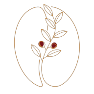 Logotipo da empresa AGROINDUSTRIA CAFE RAIZES