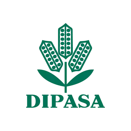 Logotipo da empresa DIPASA BRASIL HOLDING LTDA.