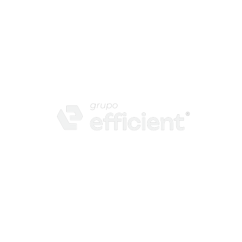 Logo de GRUPO EFFICIENT SERVICE