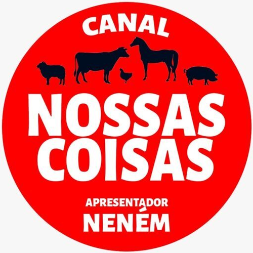 Logotipo da empresa RINALDO DO NASCIMENTO FREITAS