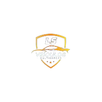 Logotipo da empresa L S VEICULOS MULTIMARCAS