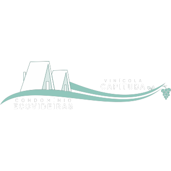 Logotipo da empresa ECOVIDEIRAS