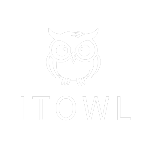 Logotipo da empresa ITOWL