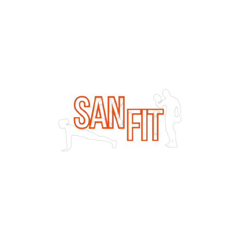 Logotipo da empresa SAN FIT