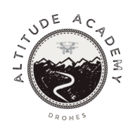 Logotipo da empresa BLUEBERRY