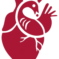 Logotipo da empresa OKAN