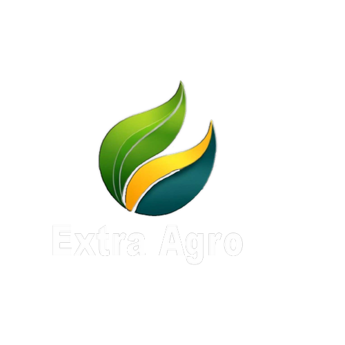 Logotipo da empresa EXTRA AGRO