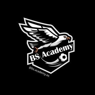 Logotipo da empresa BS ACADEMY