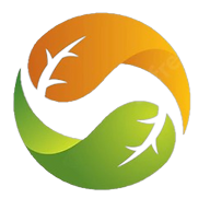 Logotipo da empresa VIA AGRO TRANSPORTES
