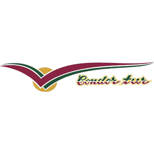 Logotipo da empresa CONDOR TUR
