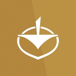 Logotipo da empresa DINDOMANI CONTABILIDADE E ASSESSORIA