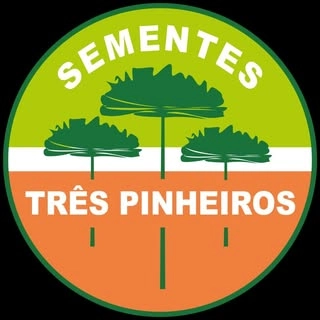 Logotipo da empresa TRES PINHEIROS LTDA