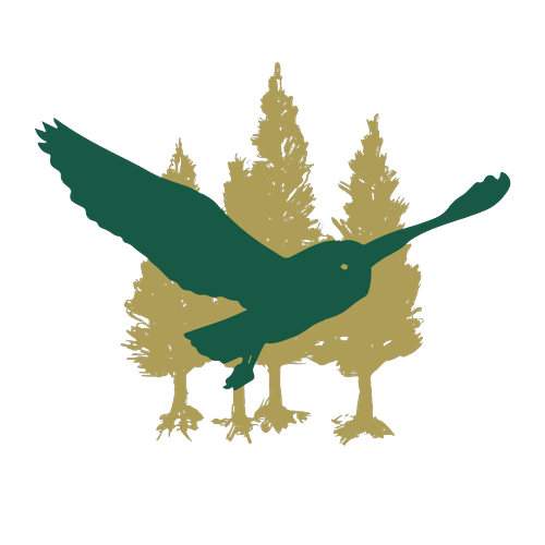 Logotipo da empresa CORUJA GRANT