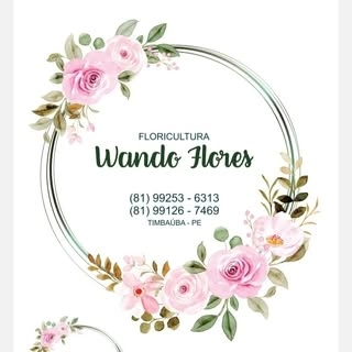Logotipo da empresa DELIVERY WANDO FLORES