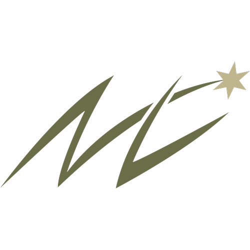 Logotipo da empresa NL BONES
