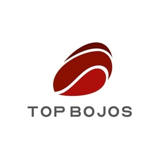 Logotipo da empresa TOPTEX